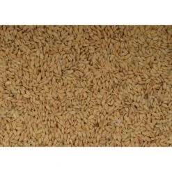 Wielink Paddy Rijst 20 Kg