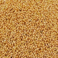 Wielink Panis Geel 20 Kg