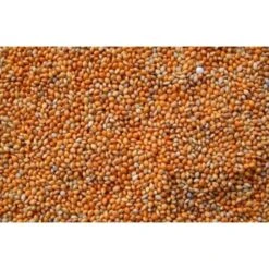 Wielink Panis Rood 20 Kg