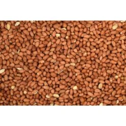 Wielink Pinda’s Gepeld