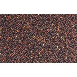 Wielink Raapzaad 20 Kg