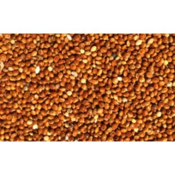 Wielink Rood Millet 20 Kg