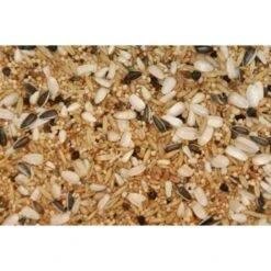 Wielink Special Voer Voor Grote Parkieten 20 Kg