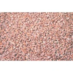 Wielink Tarwe Duif 25 Kg