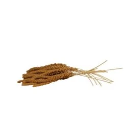 Wielink Trosgierst – Frans Geel 25 Kg