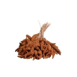 Wielink Trosgierst – Frans Rood 25 Kg