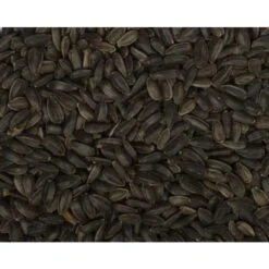 Wielink Zwarte Zonnebloempitten 20 Kg