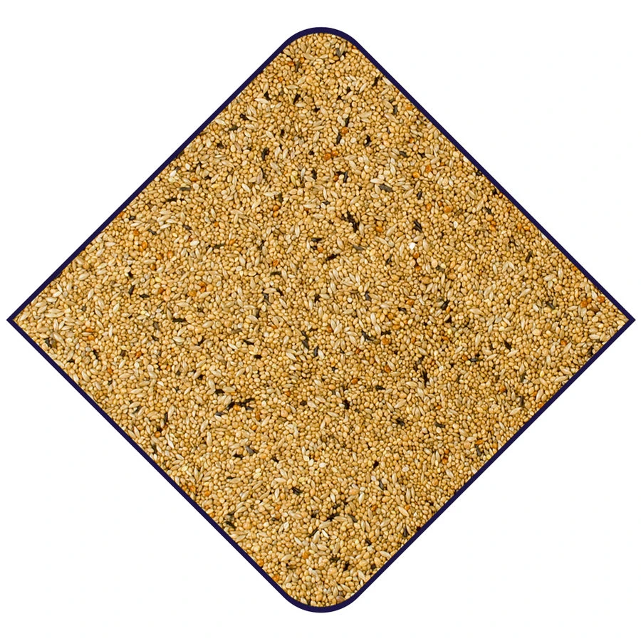 Witte Molen Expert Australische Prachtvinken 20kg 2 Witte Molen Expert Australische Prachtvinken 20kg - Afbeelding 2