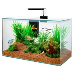 Zolux Aquarium Clear Kit Zwart
