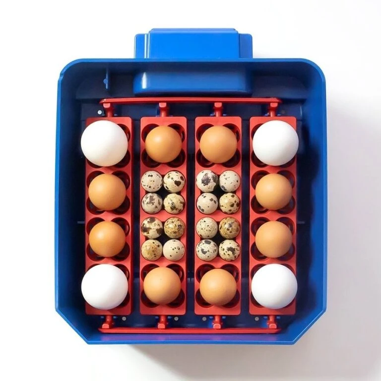 Trixie || Duvo || EXO TERRA Verkoopwinkel -Trixie || Duvo || EXO TERRA Verkoopwinkel borotto lumia 16 broedmachine 1 768x768 1