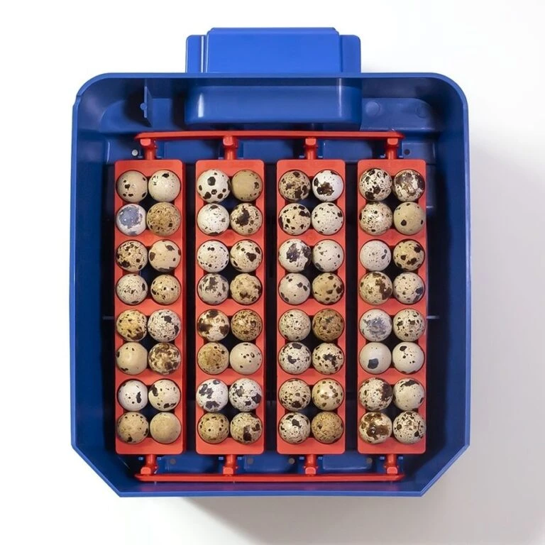 Trixie || Duvo || EXO TERRA Verkoopwinkel -Trixie || Duvo || EXO TERRA Verkoopwinkel borotto lumia 16 broedmachine 2 768x768 Copy Copy